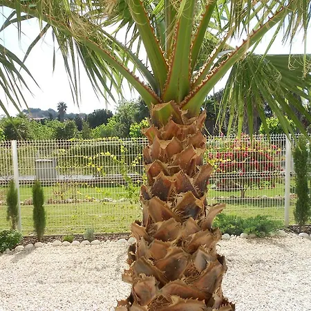 Aquqmqris Planta Baha 1 Dorm Cami Del Llavador, 5, *